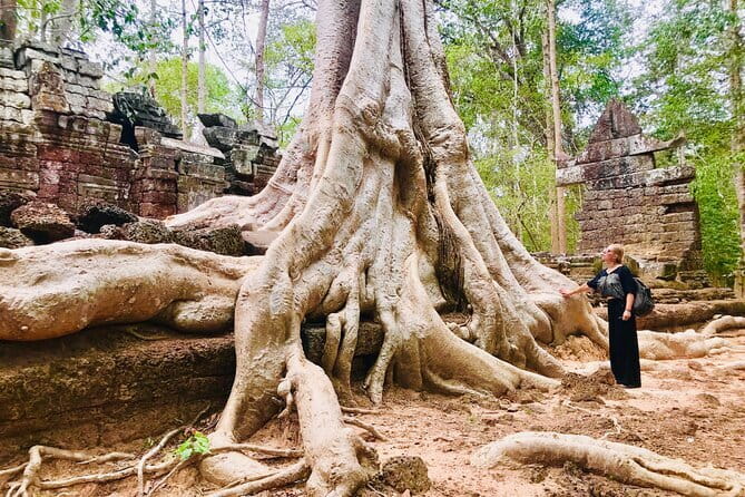1-Day Angkor Wat Cycling Tour: Scenic Bike Adventure in Siem Reap - Who This Tour Suits Best (And Who Might Want Another Option)