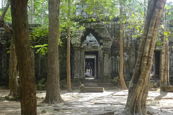 1-Day Angkor Wat Sunrise & All Interesting Temples Private Tour - Price and Value: What $80 Really Gets You