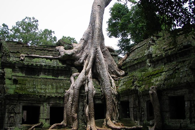 1-Day Angkor Wat Sunrise & All Interesting Temples Private Tour - Comfort Matters in Angkor, and This Tour Handles It