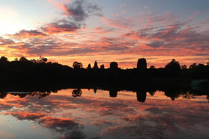 1 Day Discover Angkor Wat Sunrise Private Tour - Ta Prohm’s trees and roots: the famous jungle temple stop