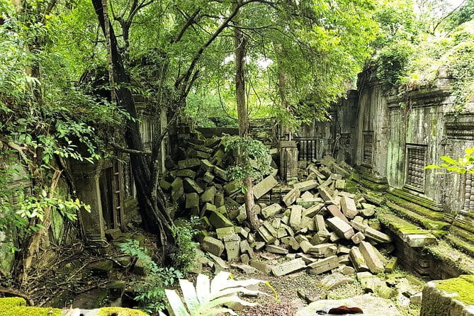 1 day special Tour: Angkor Wat,Bayon,Ta Prohm, Bantey srei and Beng Mealea - Key highlights you should know before you go