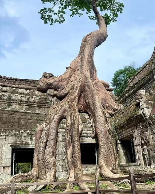1-Day Trip to Angkor Wat with a Private or Shared Guide in Spanish - Bayon Temple and its smiling towers