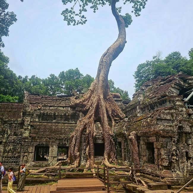 1-Day Trip to Angkor Wat with a Private or Shared Guide in Spanish - Angkor Thom at the southern gate: the first wow moment
