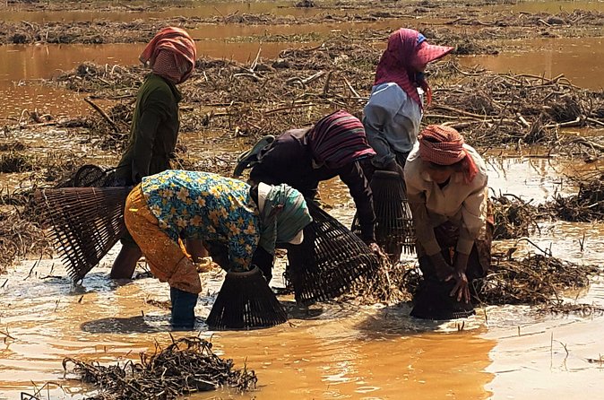 1day private tour all main temple in Angkor,sunset at TonleSap floating village - Tonle Sap and Kampong Pluk at sunset: why the boat ride matters
