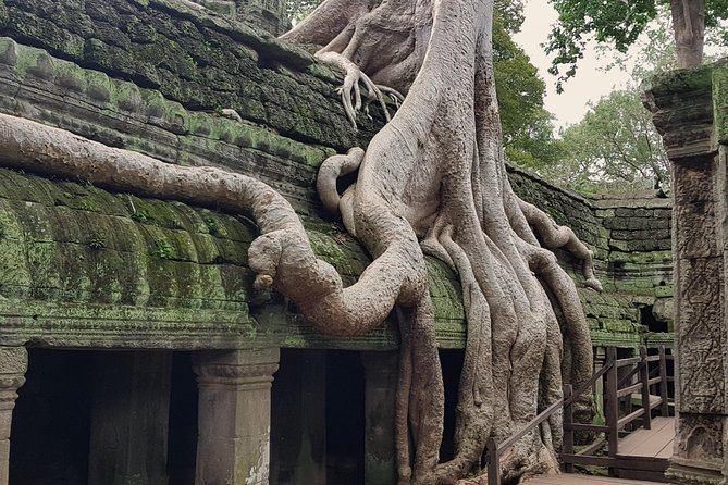 1day Private tour, Angkor sunrise,all main temples, Banteay srei - Angkor Wat after sunrise: what to focus on first