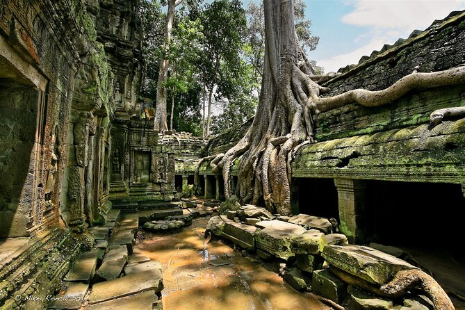 1day private tour to all majestic Temples in Angkor and Sunset - Terrace of the Leper King: Yama, Bayon style, and a surprise naming story