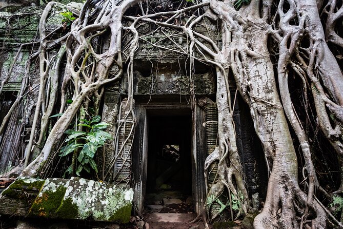 2-Day : Angkor Sunrise, Kompong Phluk Sunset & Banteay Srei Tour - Price and value: what $55 per person really covers