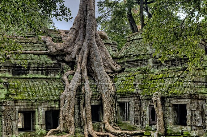 2-Day Angkor Wat, Banteay Srei & Floating Village Kampong Pluk - Day 2 at 5:00am: sunrise at Angkor Wat then Kampong Pluk by private boat