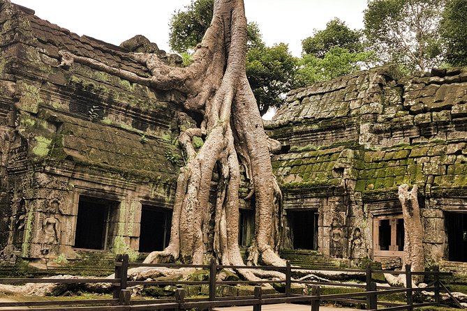 2-Days Private Tour in Angkor Sunrise, Banteay Srei and Beng Mealea Temple - Guide impact: when Pin, Thean, and others bring the temples to life