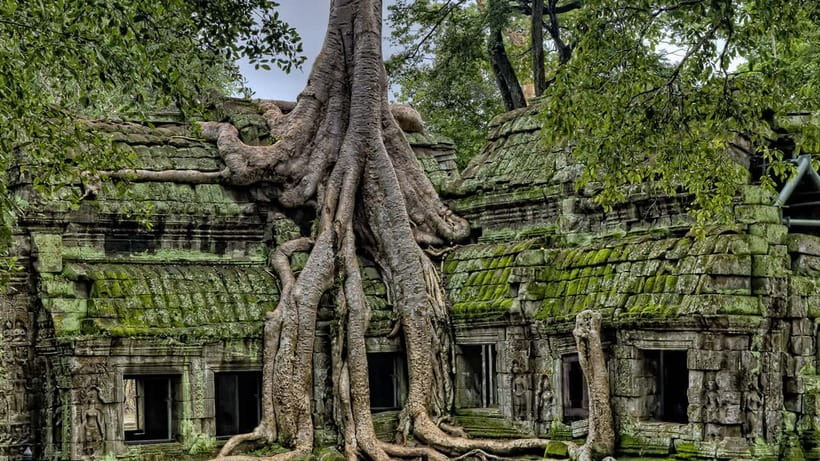 3-Day Angkor Wat & All Interesting Temples With Beng Mealea - Day 3: Roluos Group temples plus Beng Mealea’s untouched jungle ruins