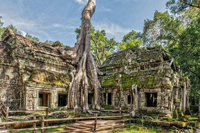 5 Must-See Temples With Private Guided Tour - Price and Temple Pass Reality, So You Can Budget Without Surprises