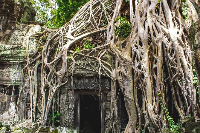 7-must See Temples in Angkor Park (Private Guided Tour) - Ta Prohm: where the trees steal the show