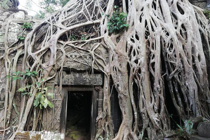 Afternoon Angkor Wat Private Tour with Sunset - Angkor Thom South Gate and Tonle Oum: quick stop, real context