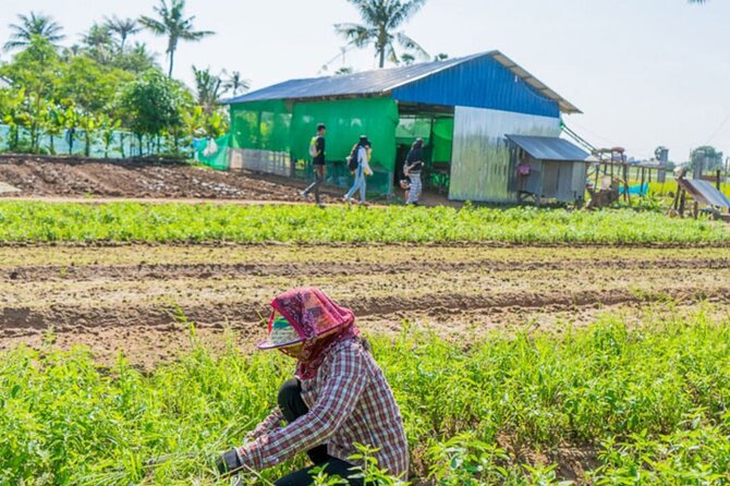 Afternoon Cooking Class & Village Tour in Siem Reap - The ride out of town: rice paddies, small temples, and village roads