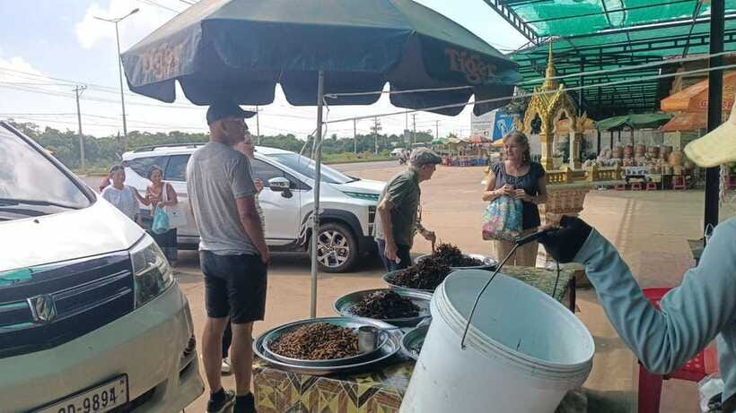 An Unforgettable Road Trip from Phnom Penh to Siem Reap - Who this road trip suits best