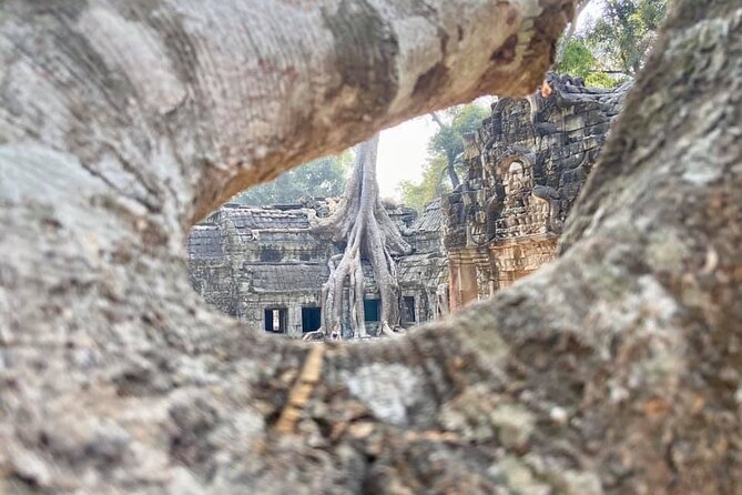 Angkor Cab: Siem Reap 3 day private tour: 'off the beaten track' - Day 2: Angkor Wat sunrise, Angkor Thom South Gate, and Ta Prohm’s atmosphere