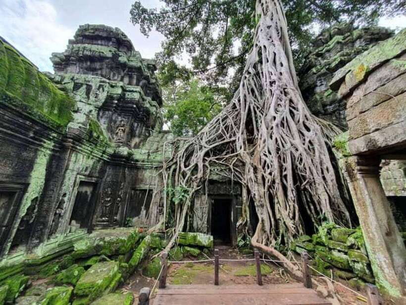 Angkor Cycling Tour - Bayon Temple and lunch at Elephant Terrace