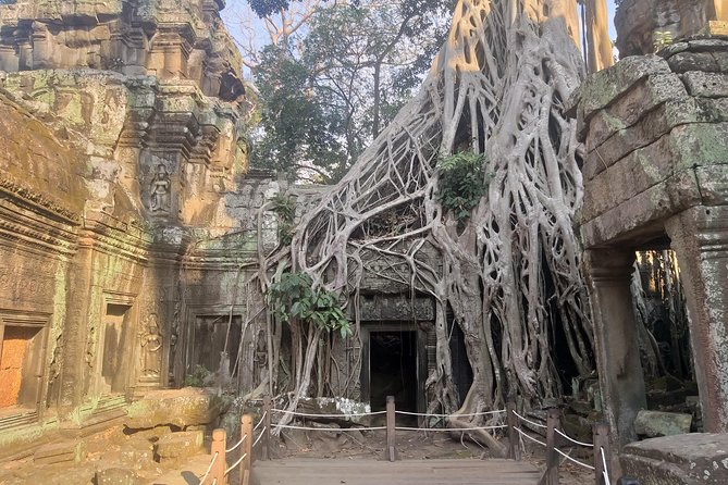 Angkor Discovery 2-Days Of Private Tour - Day 2: Beng Mealea, far out, and full of mystery