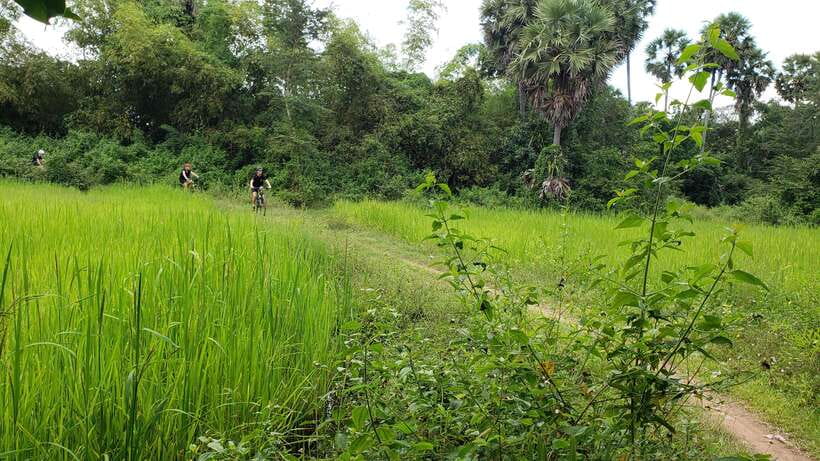 Angkor Jungle Biking Adventure Private Cycling Tour - Ta Nei, Mur d’enceinte, and the French Dam: smaller stops that add texture