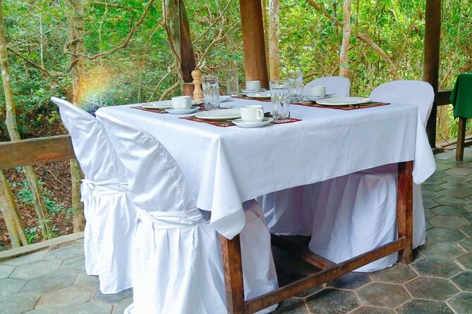 Angkor Sunrise Bike Tour - Breakfast & Lunch included - Ta Prohm by bike: those trees make sense only in person