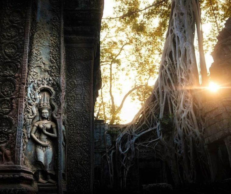 Angkor Sunrise or Sunset Tour (includes breakfast or lunch) - Ta Prohm: The Tomb Raider Temple Moment That Actually Feels Real
