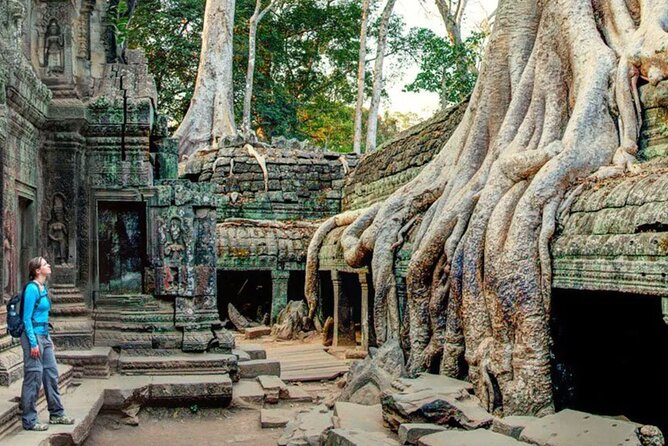 Angkor Sunrise Small Group Tour Inclusive Breakfast and lunch - Ta Prohm jungle temple: iconic ruins with breathing room