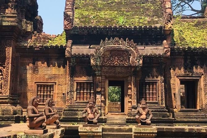 Angkor Temple Sunrise Half Day Tour - Ta Prohm in 1 hour: photo charm with historical context