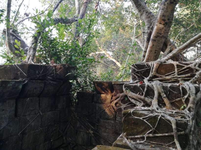 Angkor Temples Highlights Tour: 2 Days with Sunrise - Banteay Srei’s Pink Sandstone, Plus Beng Mealea’s Offbeat Adventure
