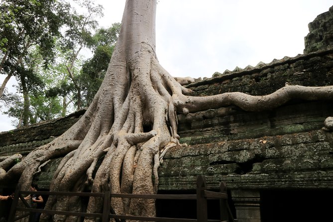 Angkor Temples Private Full-Day Tour from Siem Reap (Free Child) - Baphuon Temple: why the “less perfect” temple can be the most interesting