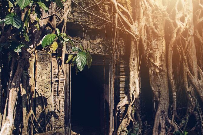 Angkor Thom Ta Prohm and Sunset in Angkor Wat Golden Hour Tour - Ta Prohm: tree roots, Tomb Raider spots, and stone creatures