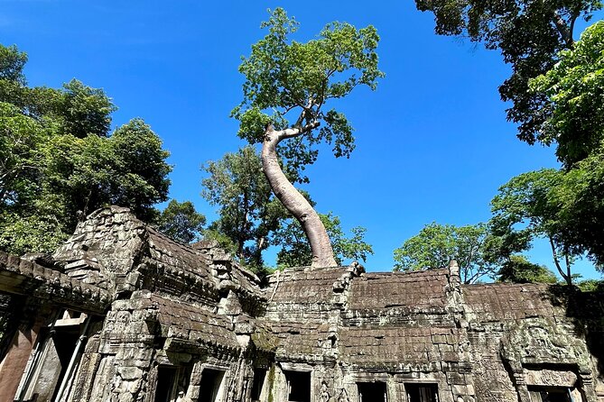 Angkor Wat 1-Day Tour by Private Car or Minivan - Traditional Village Time, Snacks, and the Human Side of the Day