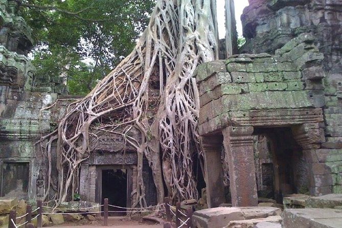 Angkor Wat 2-Day Tour - Angkor Wat at 8:00am: The First Big Wow