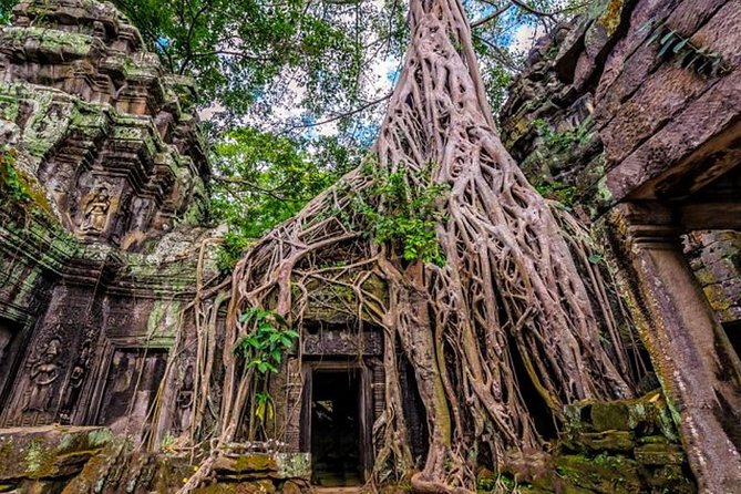 Angkor wat and Small group temples Full day tours - Angkor Thom and Bayon: from capital-city vibe to the faces