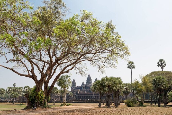 Angkor Wat, Angkor Thom & Elephant Terrace Half-Day Tours - Angkor Thom and Bayon: moving from big scale to concentrated detail