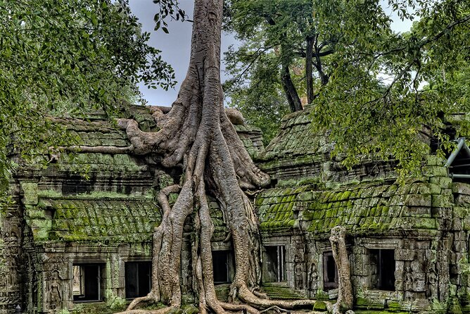 Angkor Wat, Angkor Thom & Elephant Terrace Half-Day Tours - Price check: $43 is only the start