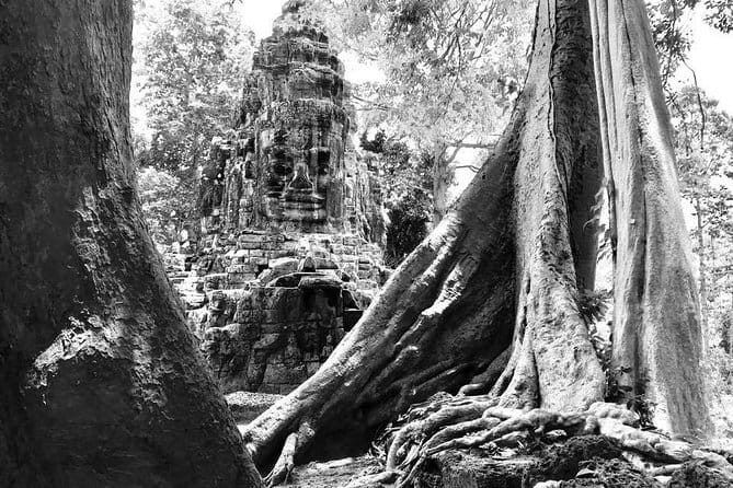 Angkor Wat & Banteay Srei 1-Day Tour - Banteay Srei and the “pink sandstone” Lady Temple stop