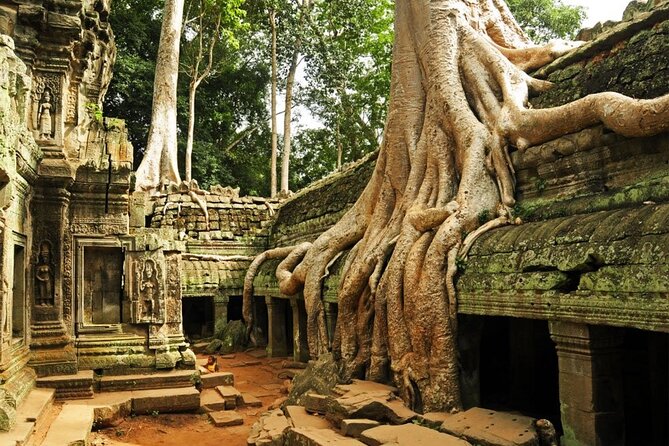 Angkor Wat full Day 'Small Group with sunset & Tour Guide - Ta Prohm: the Tomb Raider temple, and how to enjoy it