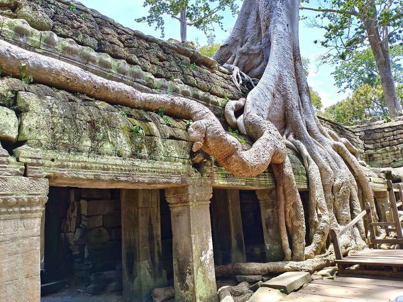 Angkor Wat: Full-Day Temples Small Group Tour - Should you book this Angkor Wat full-day small-group tour?