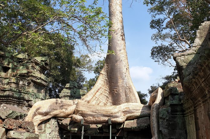 Angkor Wat Full Day Tour in Siem Reap Small-Group - Price and what it really covers
