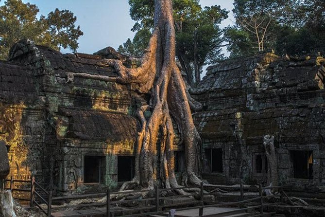 Angkor Wat highlight Tour From Sunrise -Small Group - Ta Prohm jungle temple time, lunch on your own