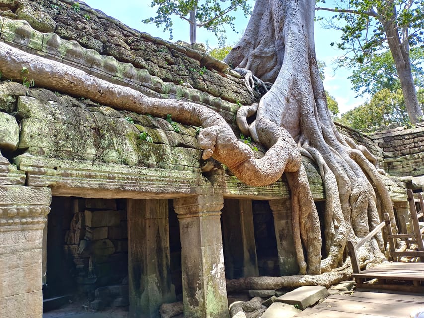 Angkor Wat: Highlights and Sunrise with Spanish Guide - Ta Prohm in Jungle Form: Moat Trees, Stone, and the Mouhot Connection