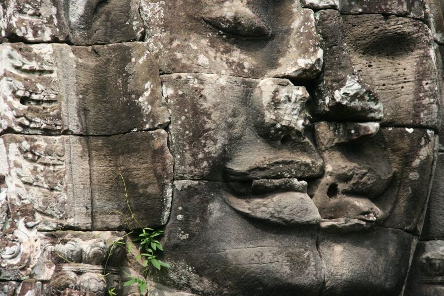 Angkor Wat in a vintage Jeep with driver - jeep rental - Ta Prohm, the Lara Croft temple, and the feel of ruins swallowed by trees