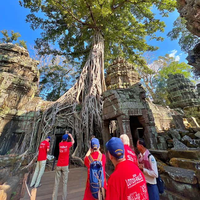 Angkor Wat in a vintage Jeep with driver - jeep rental - Driving through the Angkor forest: shortcuts, dirt roads, and real countryside glimpses