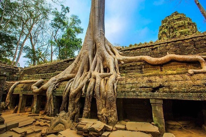 Angkor Wat one Day Private Tour for All Highlight Angkor Temples - Angkor Thom South Gate: restored faces and an easy starting point