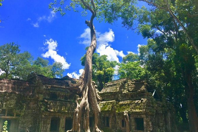 Angkor Wat one Day Private Tour for All Highlight Angkor Temples - Terrace of the Elephants: the long processional walkway