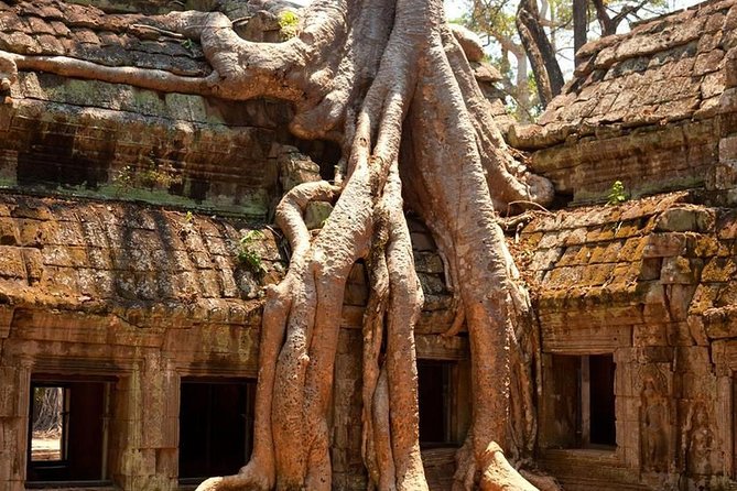 Angkor Wat Private Day Tour - Angkor Wat, finished with sunset watching