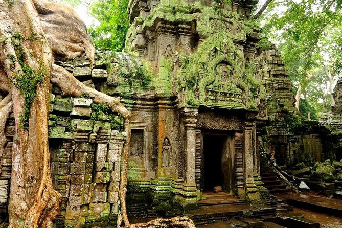 Angkor Wat Private Tour with English Speaking Driver, NO guide - Ta Prohm: tree roots and a different kind of spectacle