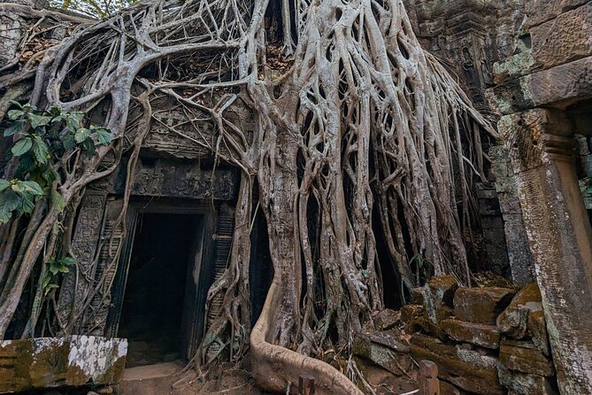 Angkor Wat Private Tuk-Tuk Tour (sunrise Option) & more - Stop 1: Angkor Wat at sunrise, what you should aim for