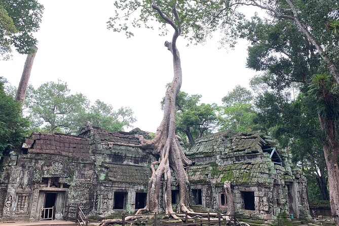Angkor Wat Small Circuit & Sunset Tour - Your guide is the difference maker: Khmer stories and wall meaning