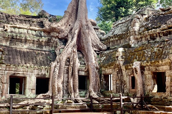 Angkor Wat Small Circuit & Sunset Tour - Ta Prohm: the Tomb Raider temple and the trees doing the work